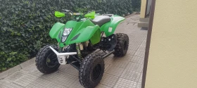     Kawasaki Kfx 400