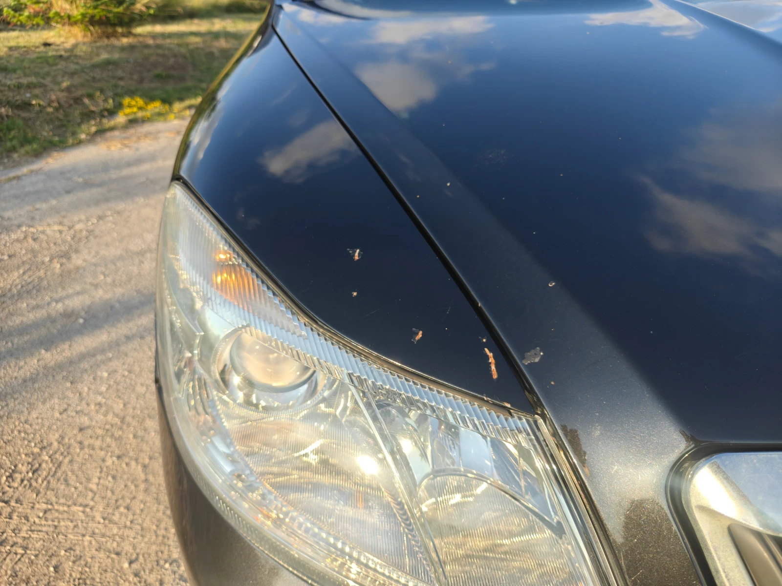 Skoda Octavia, снимка 4 - Автомобили и джипове - 55298432