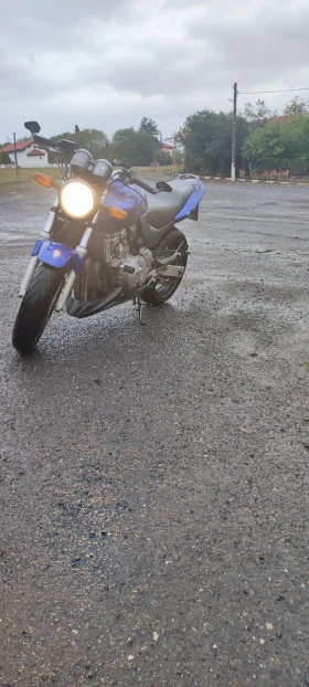 Honda Hornet | Mobile.bg    3
