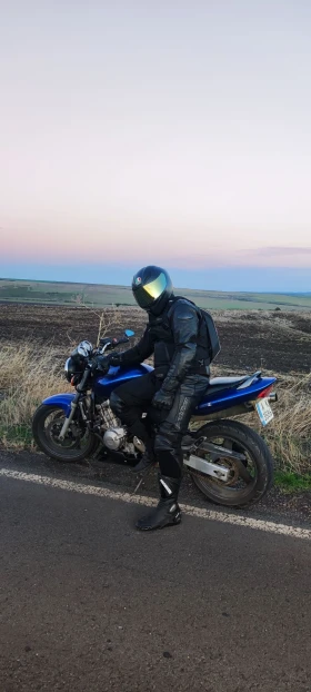 Honda Hornet  - изображение 1