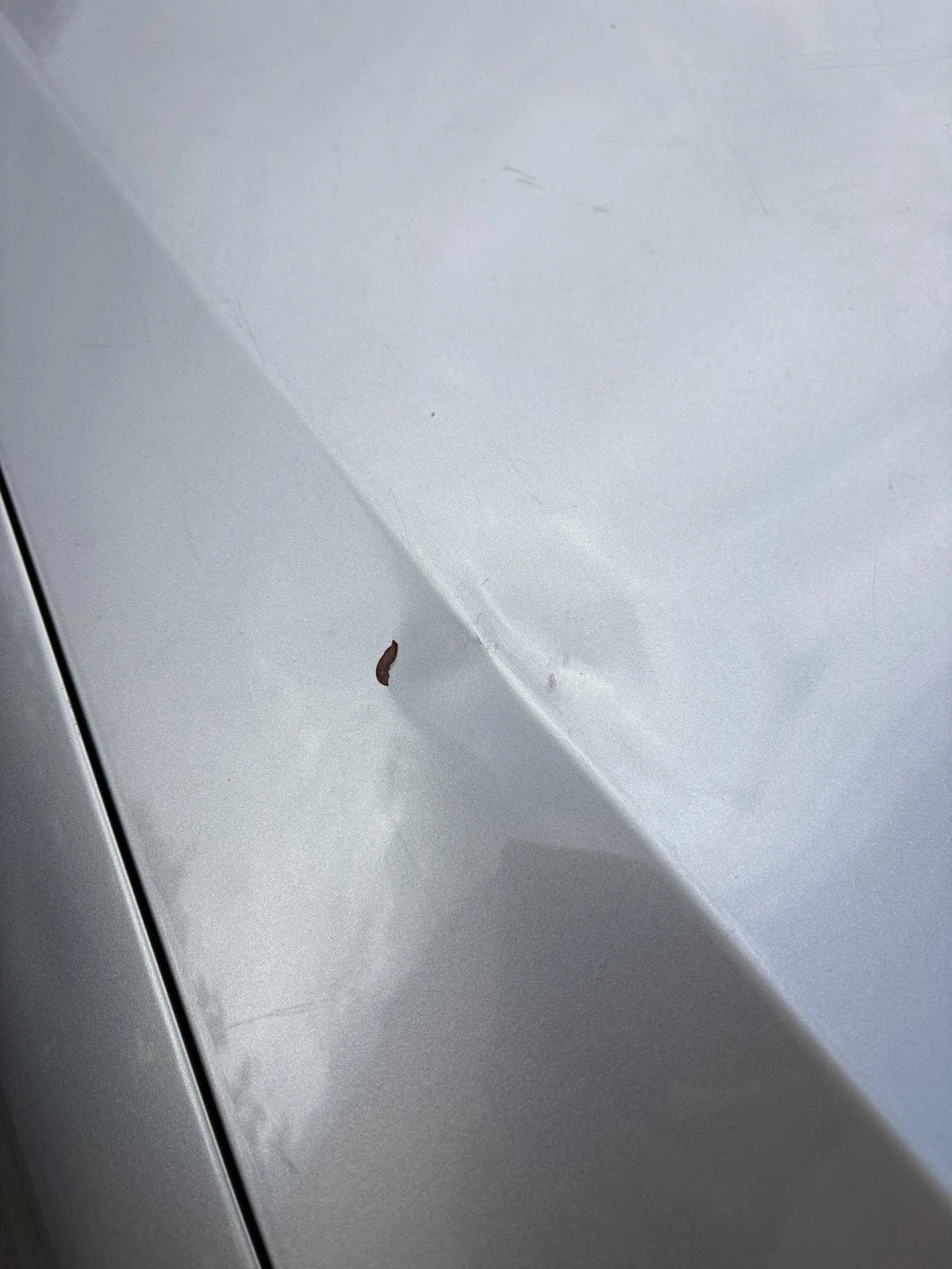 Subaru Forester 2.5XT | Mobile.bg   15