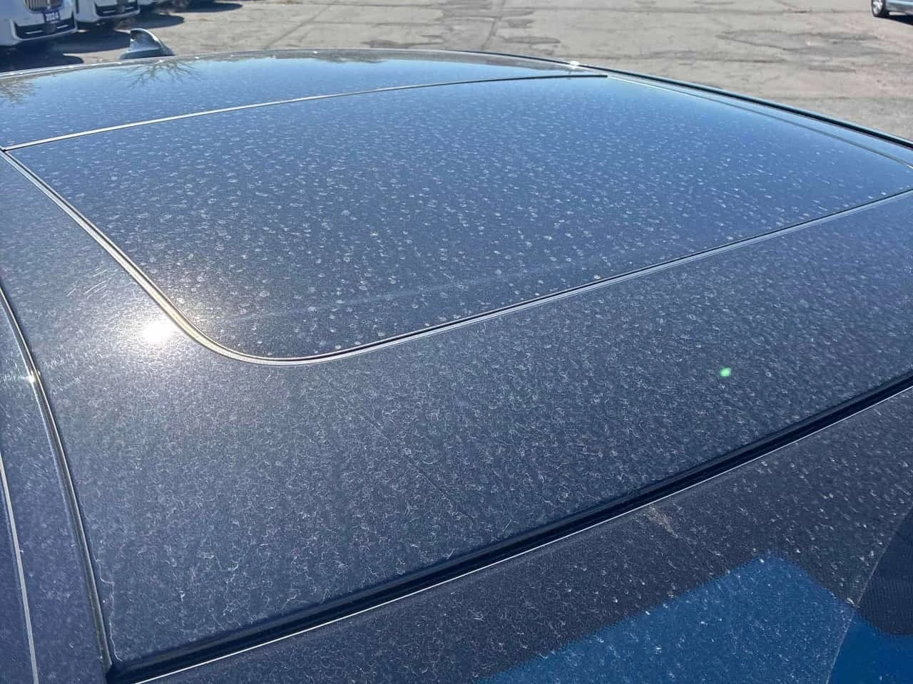 BMW 750 xDrive Sedan* ���������� ��� ������������ ������*  | Mobile.bg � ����������� 12