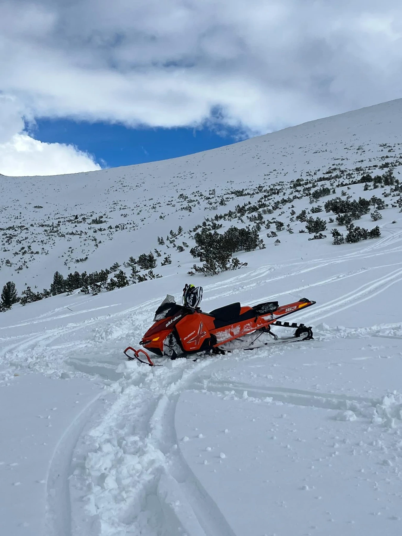 Ski-Doo Summit, снимка 1
