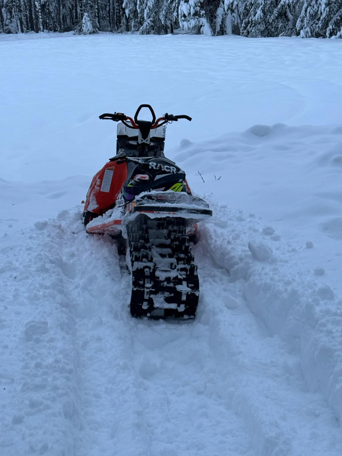 Ski-Doo Summit  - изображение 5