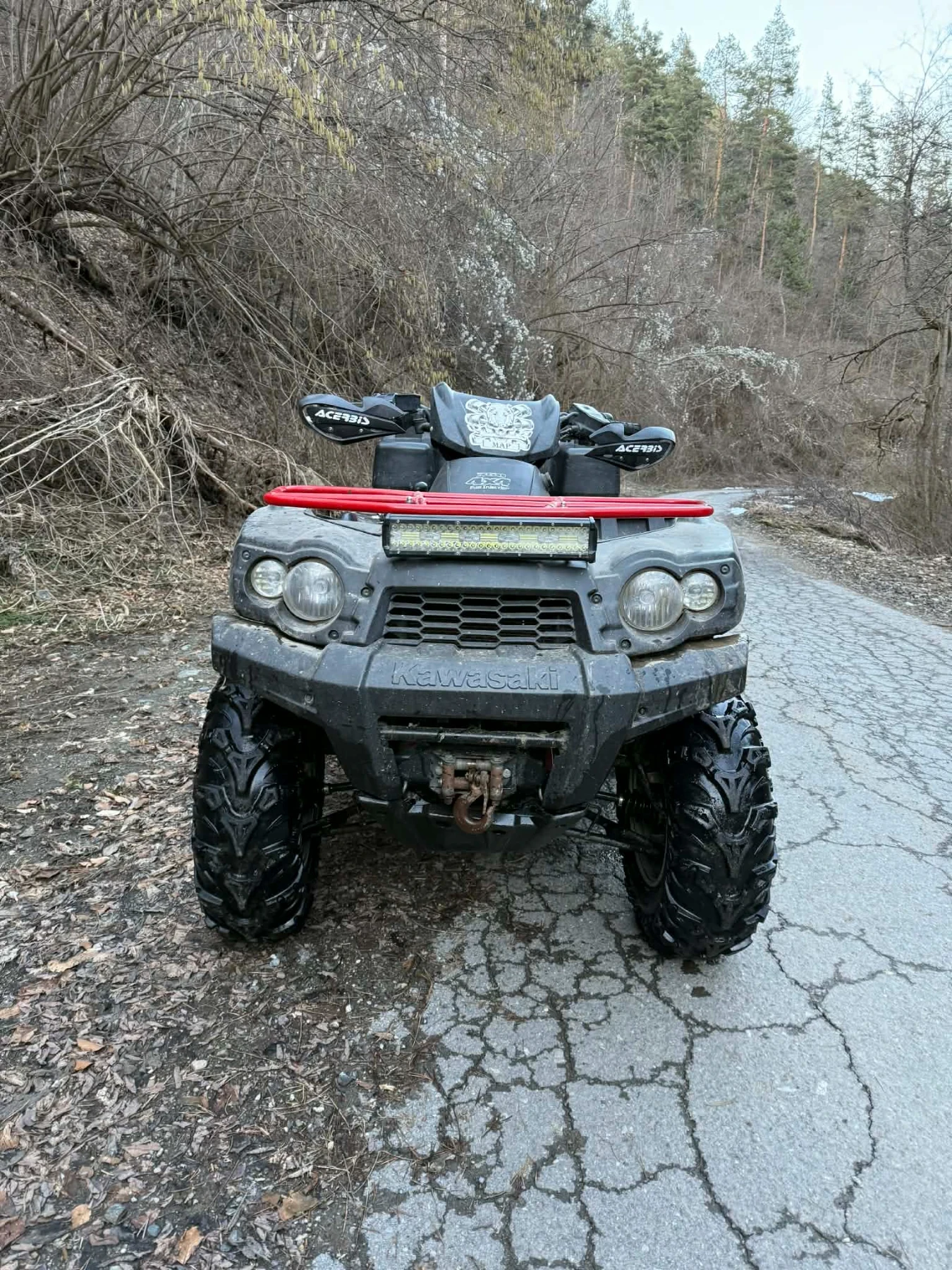 Kawasaki Brute Force