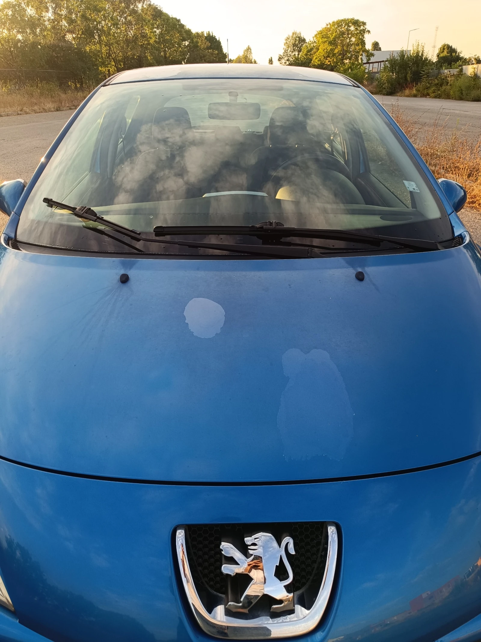 Peugeot 207 1.4 i 16V (88 кс) / ГАЗ, снимка 6 - Автомобили и джипове - 55838811