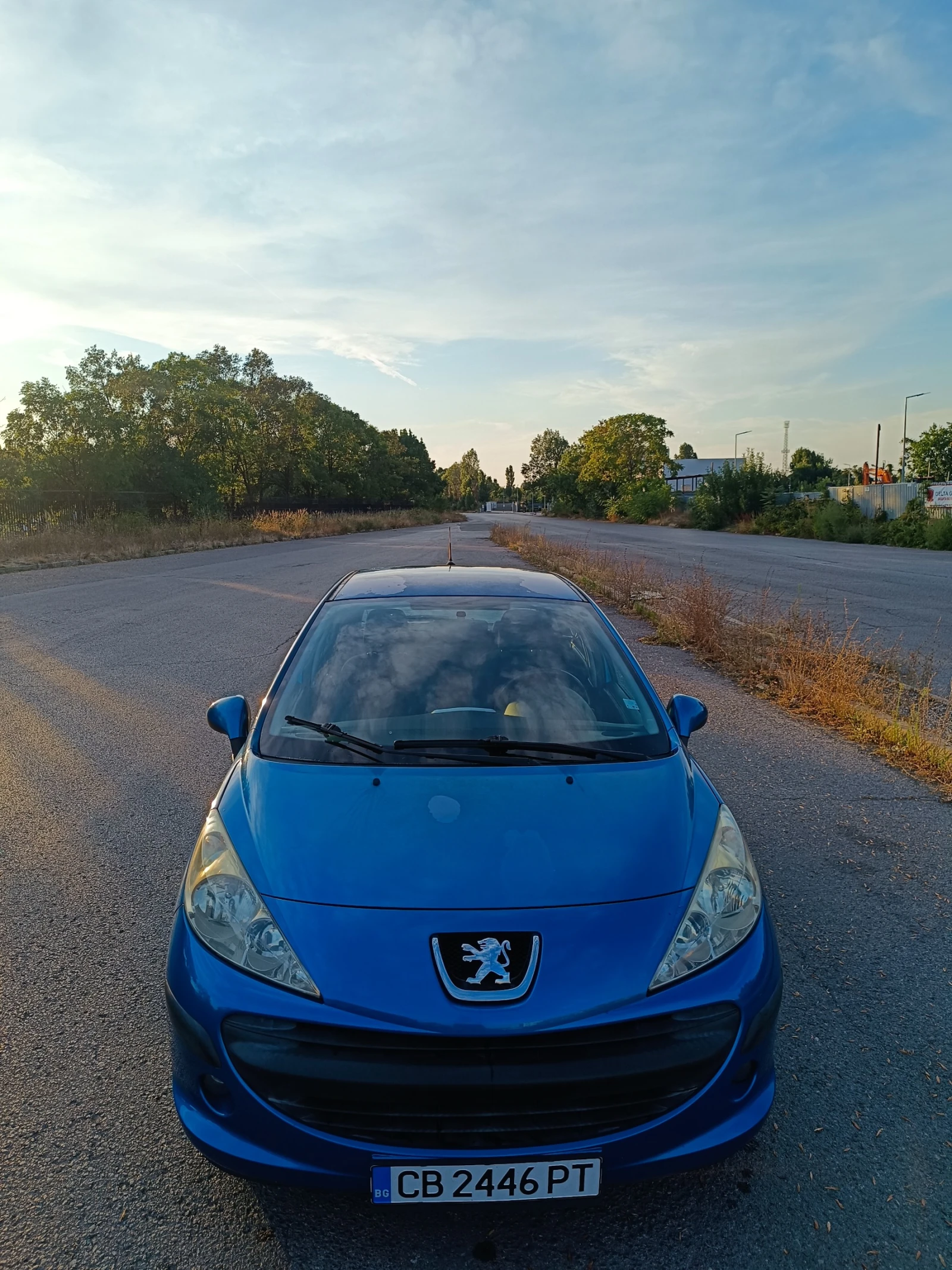 Peugeot 207 1.4 i 16V (88 кс) / ГАЗ, снимка 2 - Автомобили и джипове - 55838811
