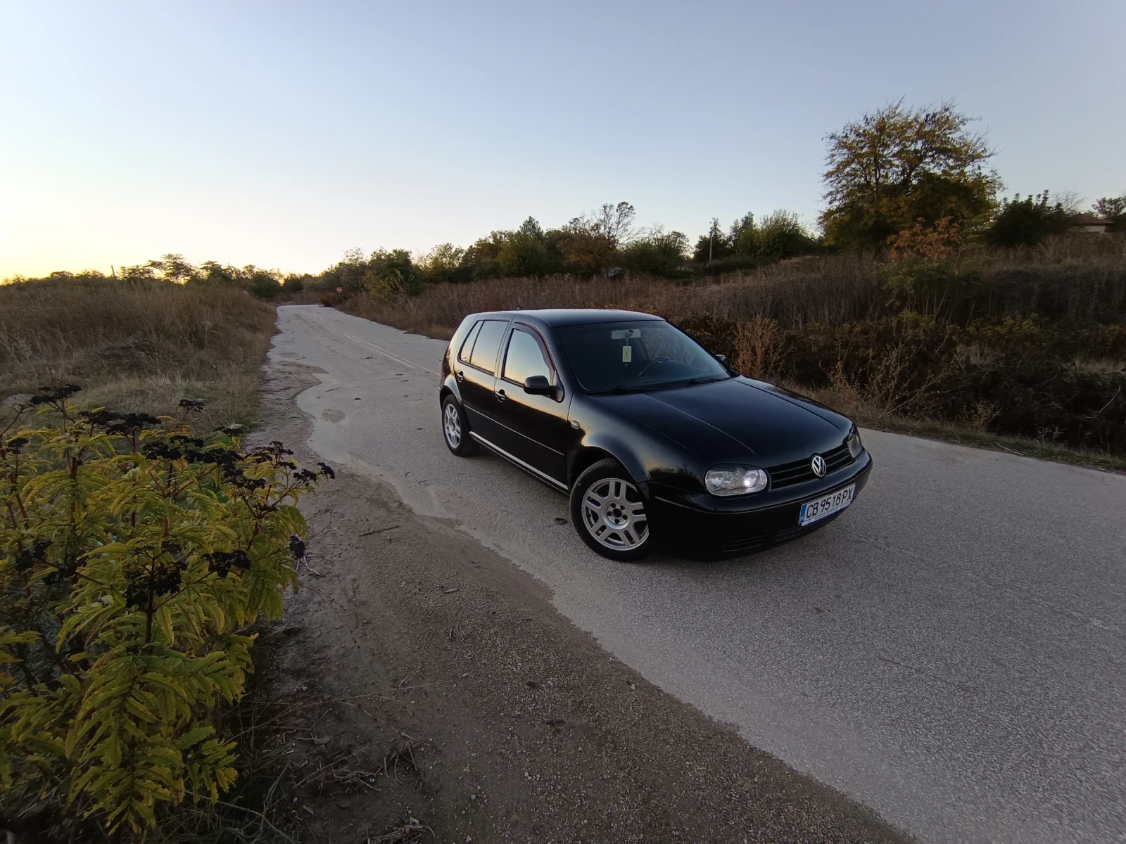 VW Golf