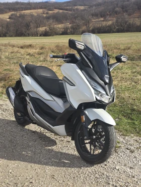 Honda Forza 300i Malossi - изображение 1