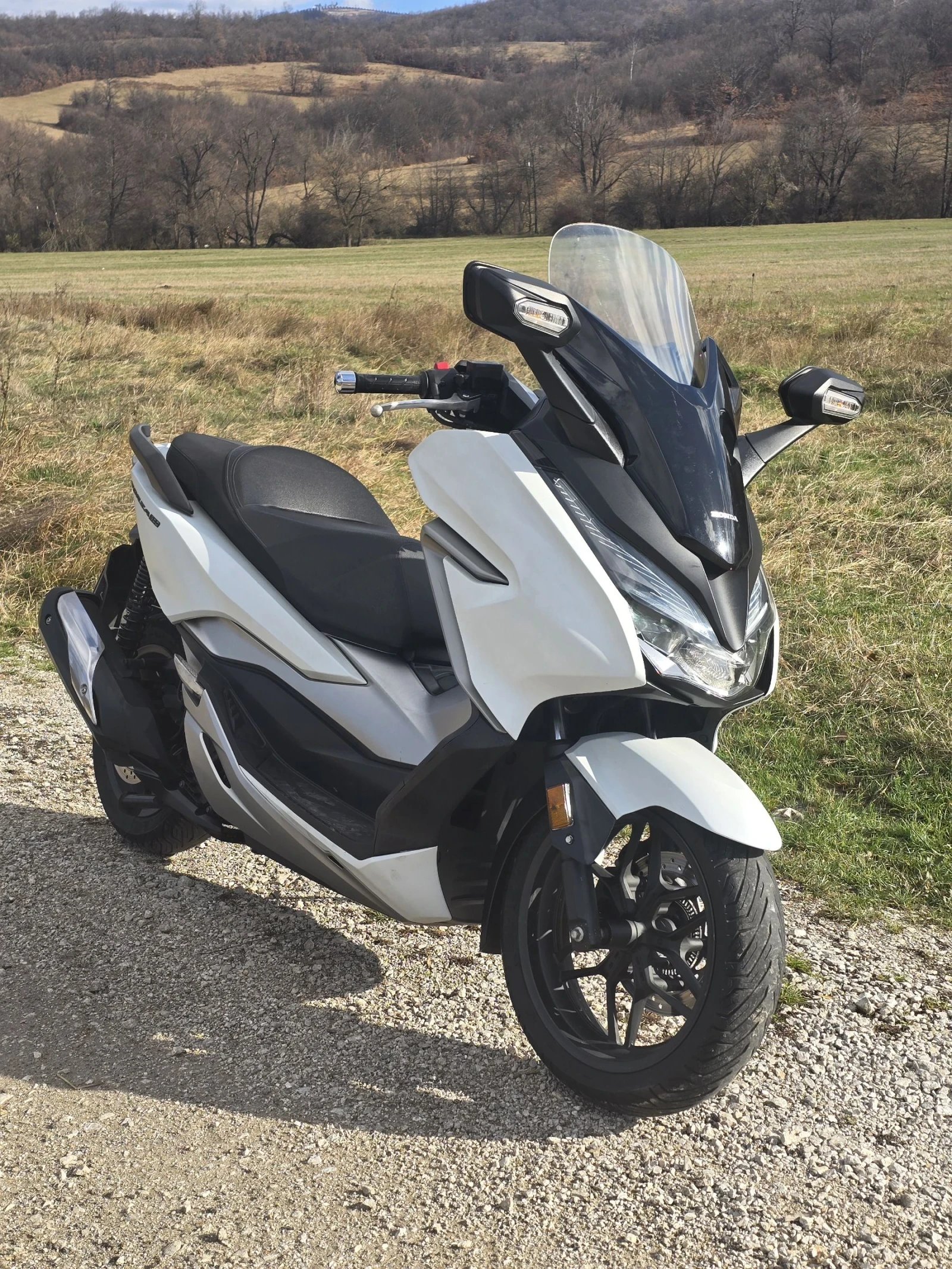 Honda Forza 300i Malossi, снимка 1