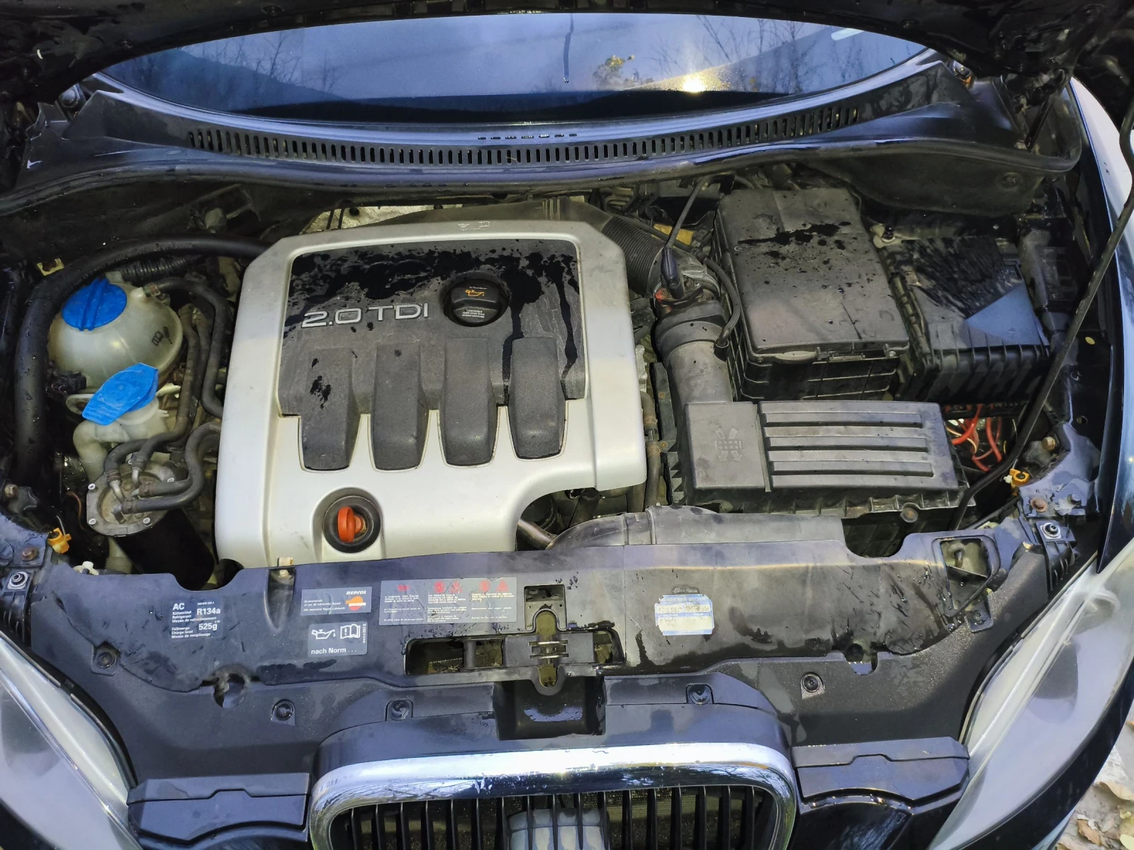 Seat Altea | Mobile.bg � ����������� 13