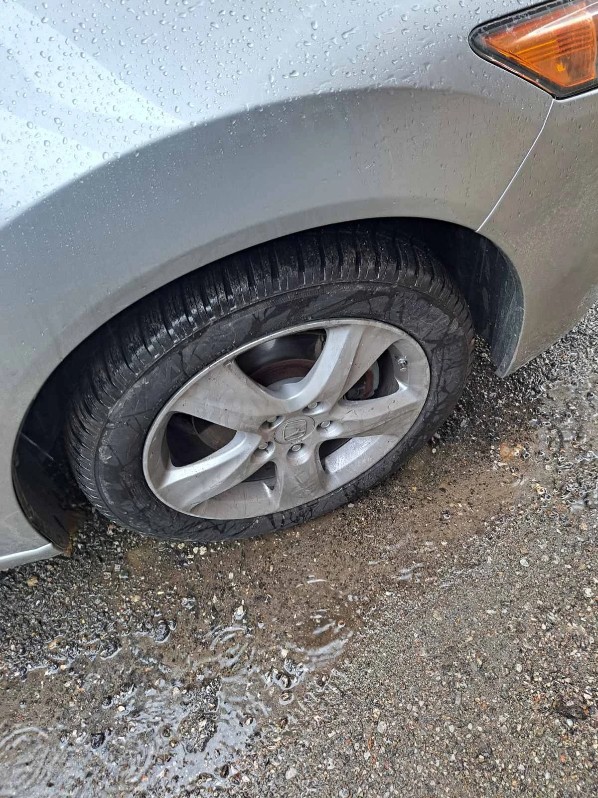 Honda Accord | Mobile.bg � ����������� 12