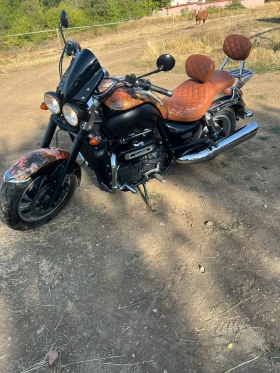  Triumph Rocket