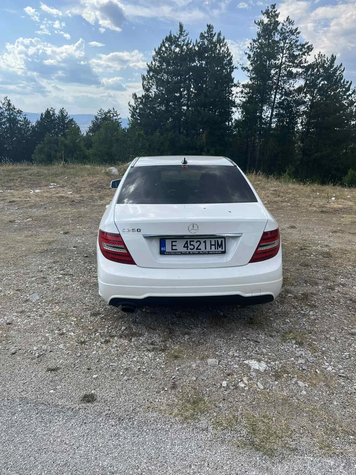 Mercedes-Benz C 250, снимка 3 - Автомобили и джипове - 54157486