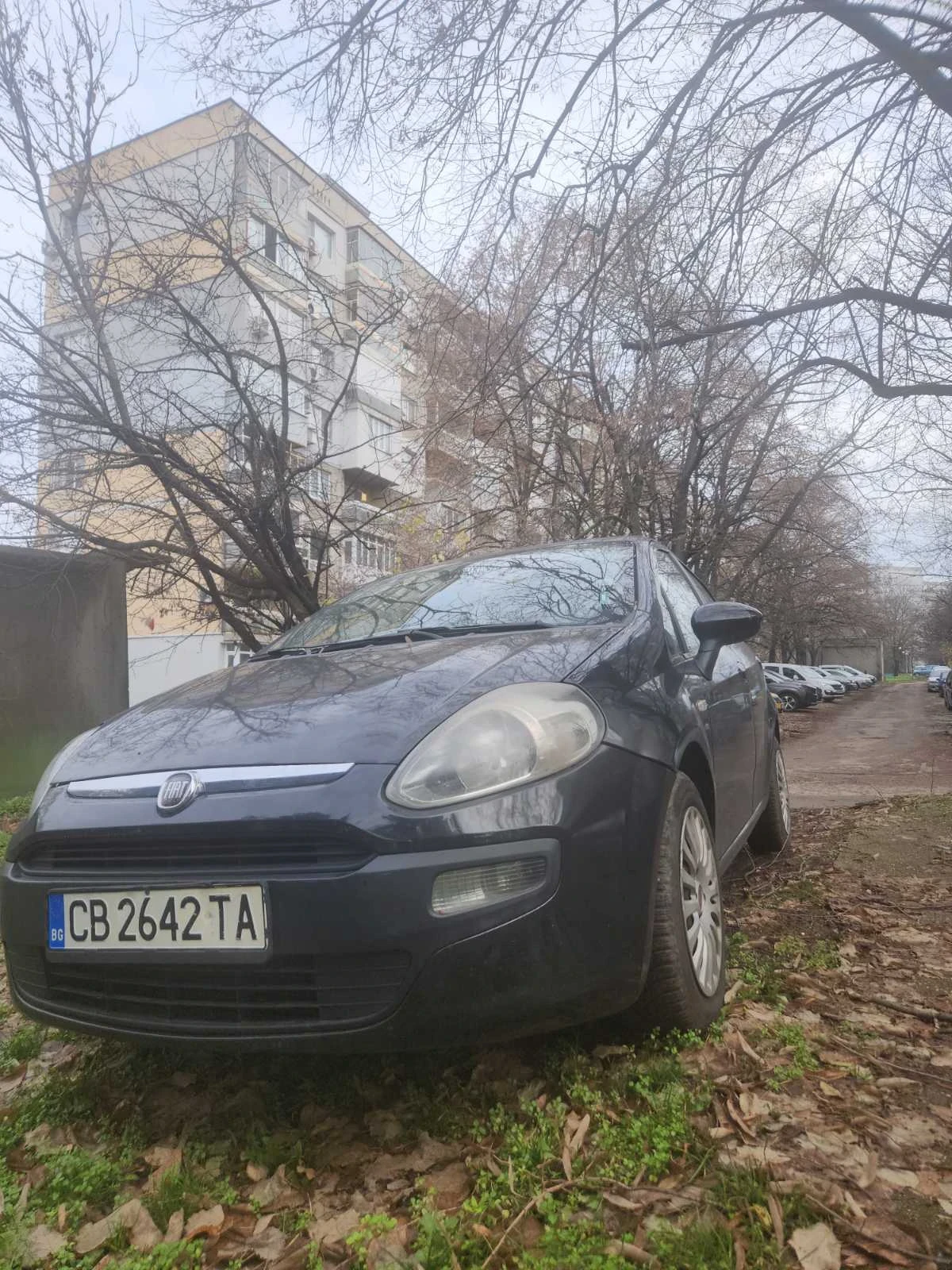 Fiat Punto Evo - изображение 2