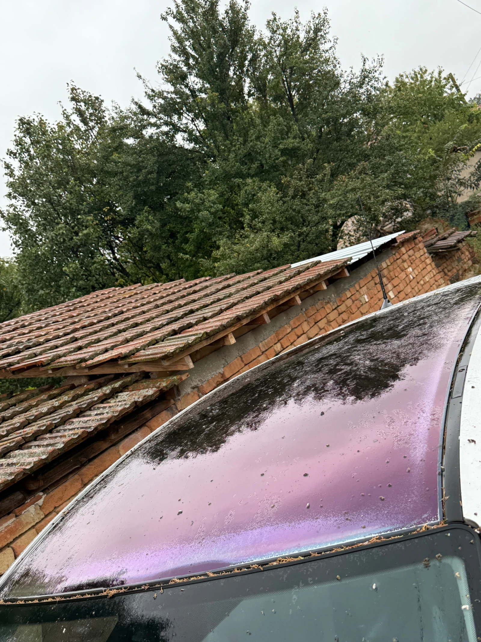 Ford C-max Панорамен таван - изображение 6