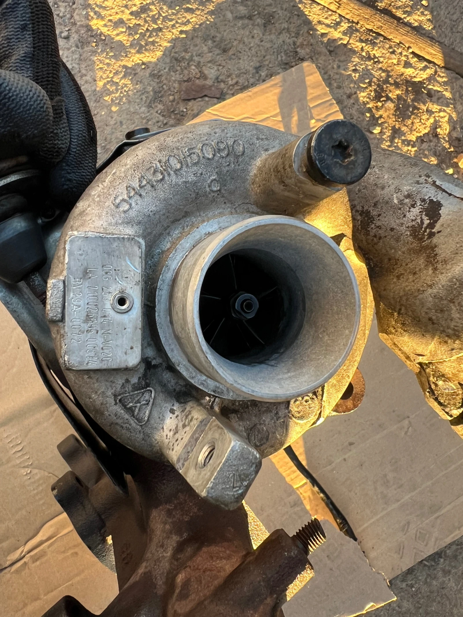 ������� 03G 253 014 M-V020 1.9TDI 105HP | Mobile.bg � ����������� 2