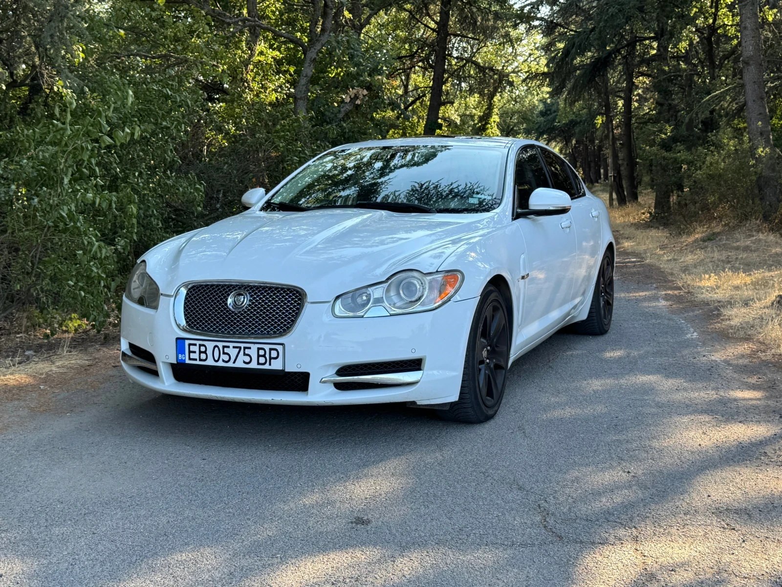 Jaguar Xf 3.0D / БЕЗУПРЕЧНА / ОБСЛУЖЕНА - изображение 2