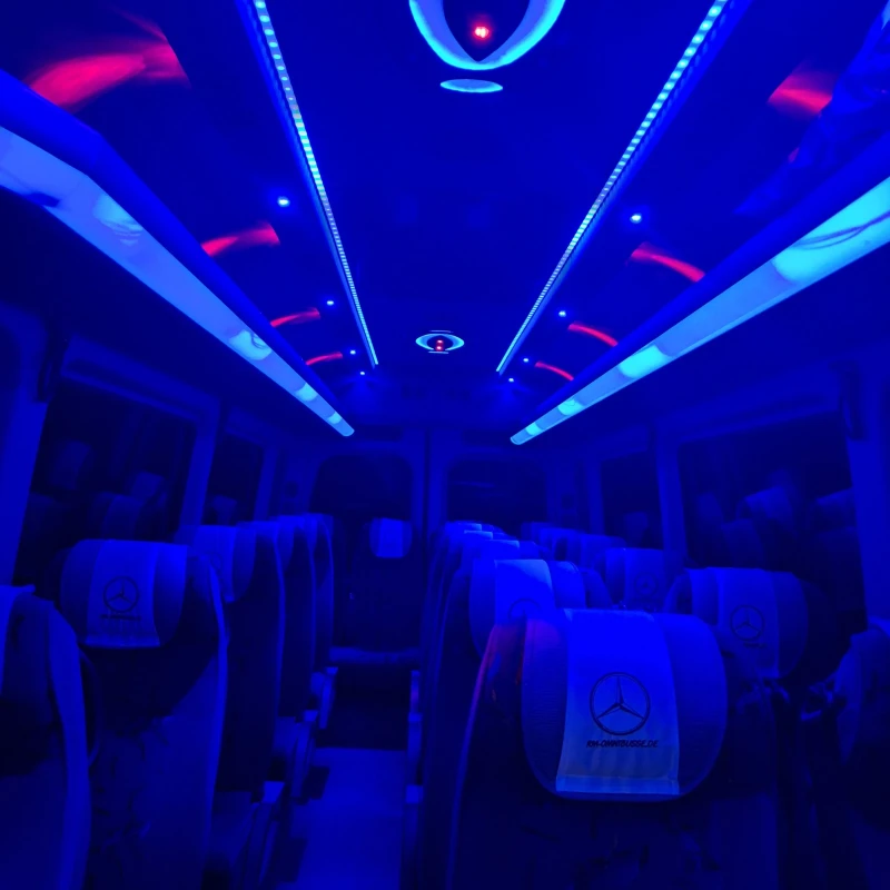 Mercedes-Benz Sprinter 516, снимка 12 - Бусове и автобуси - 52546420