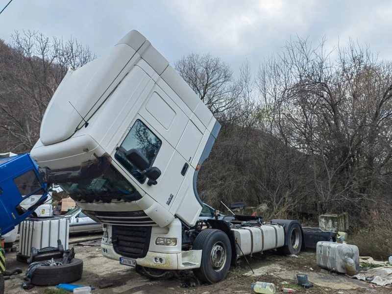 Daf XF 105, снимка 1 - Камиони - 47203147