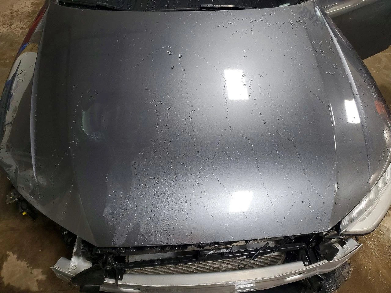 Audi A4 * CARFAX * ОПЦИЯ ЗА ФИНАНСИРАНЕ, снимка 11 - Автомобили и джипове - 55557548