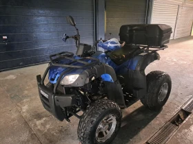 Shineray XY 250 кубика