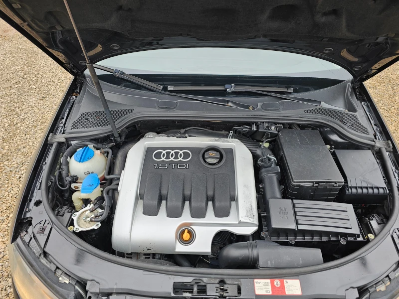 Audi A3 1.9TDI 105kc Sport .195000км, снимка 17 - Автомобили и джипове - 53503277
