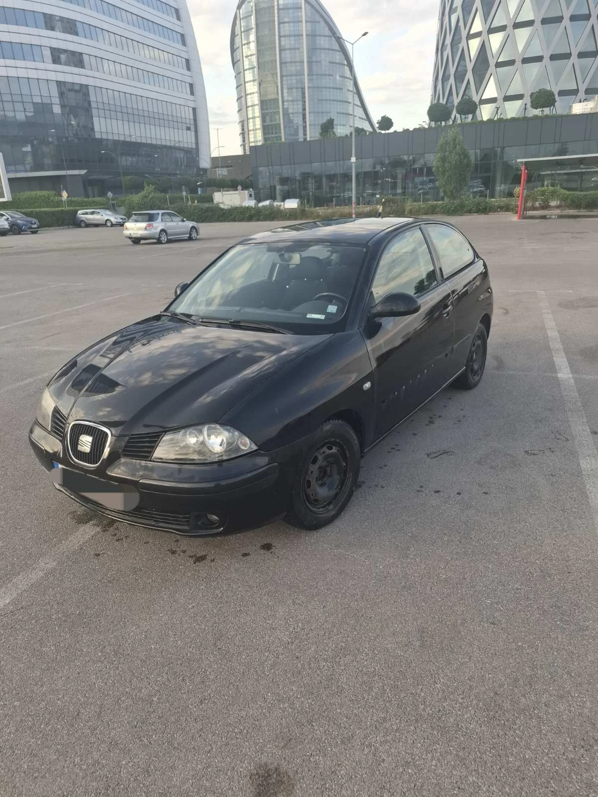 Seat Ibiza 6L - изображение 4