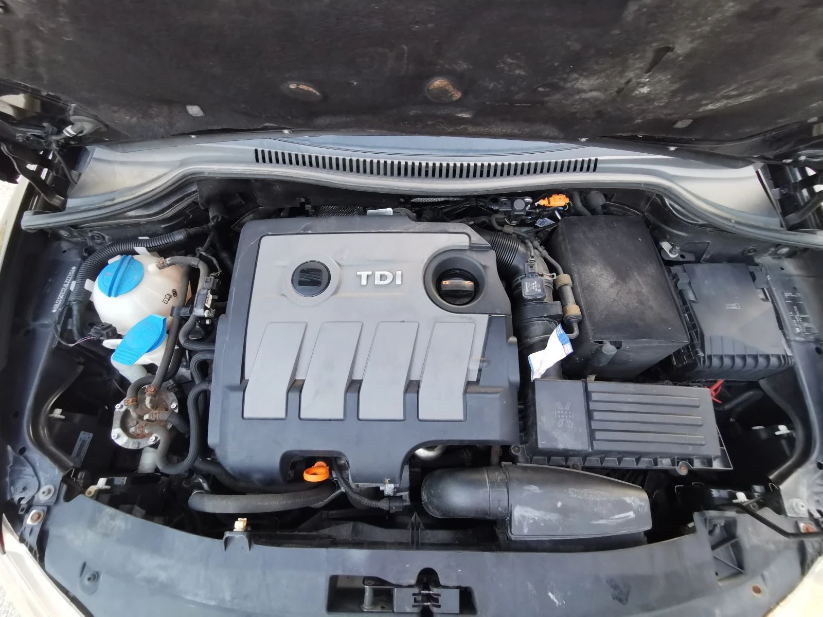 Seat Leon, снимка 16 - Автомобили и джипове - 55781103
