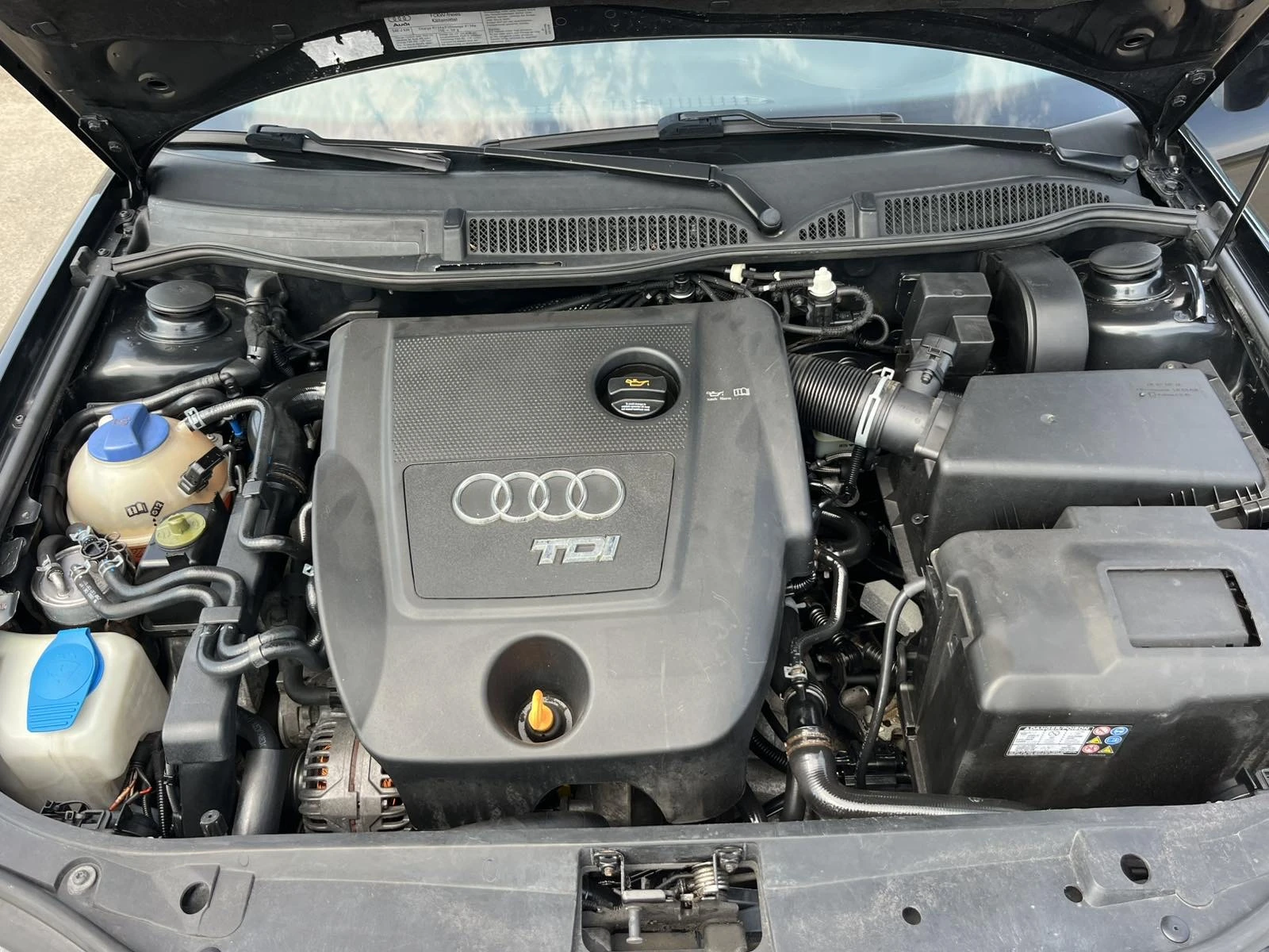 Audi A3 1.9TDI 101кс. КЛИМАТРОНИК , снимка 15 - Автомобили и джипове - 55789323