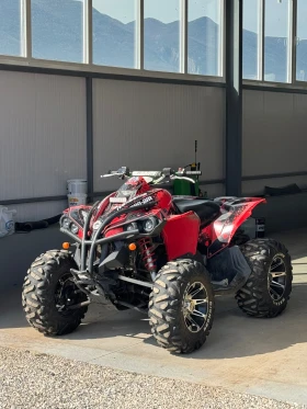 Can-Am Renеgade 