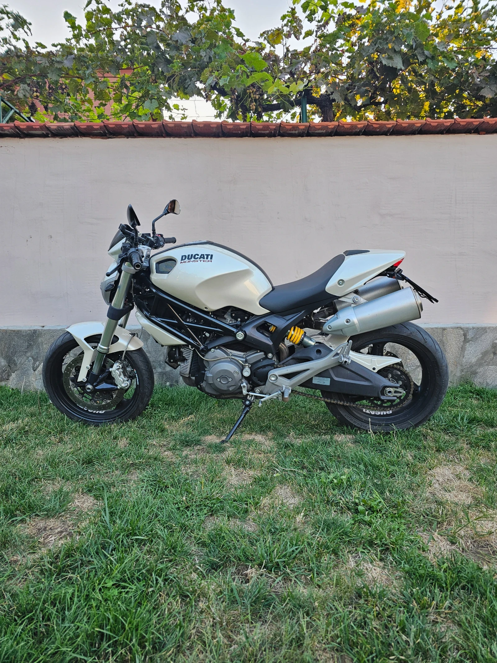 Ducati Monster, снимка 8 - Мотоциклети и мототехника - 55796649