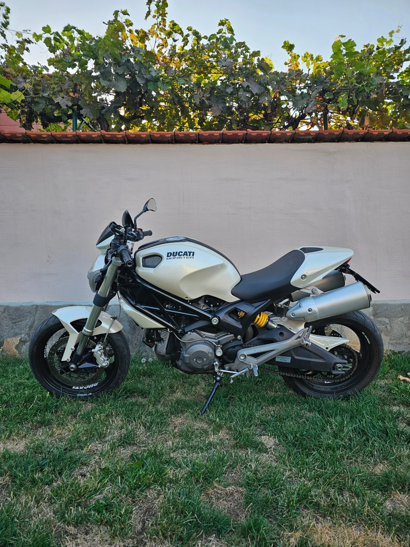Ducati Monster