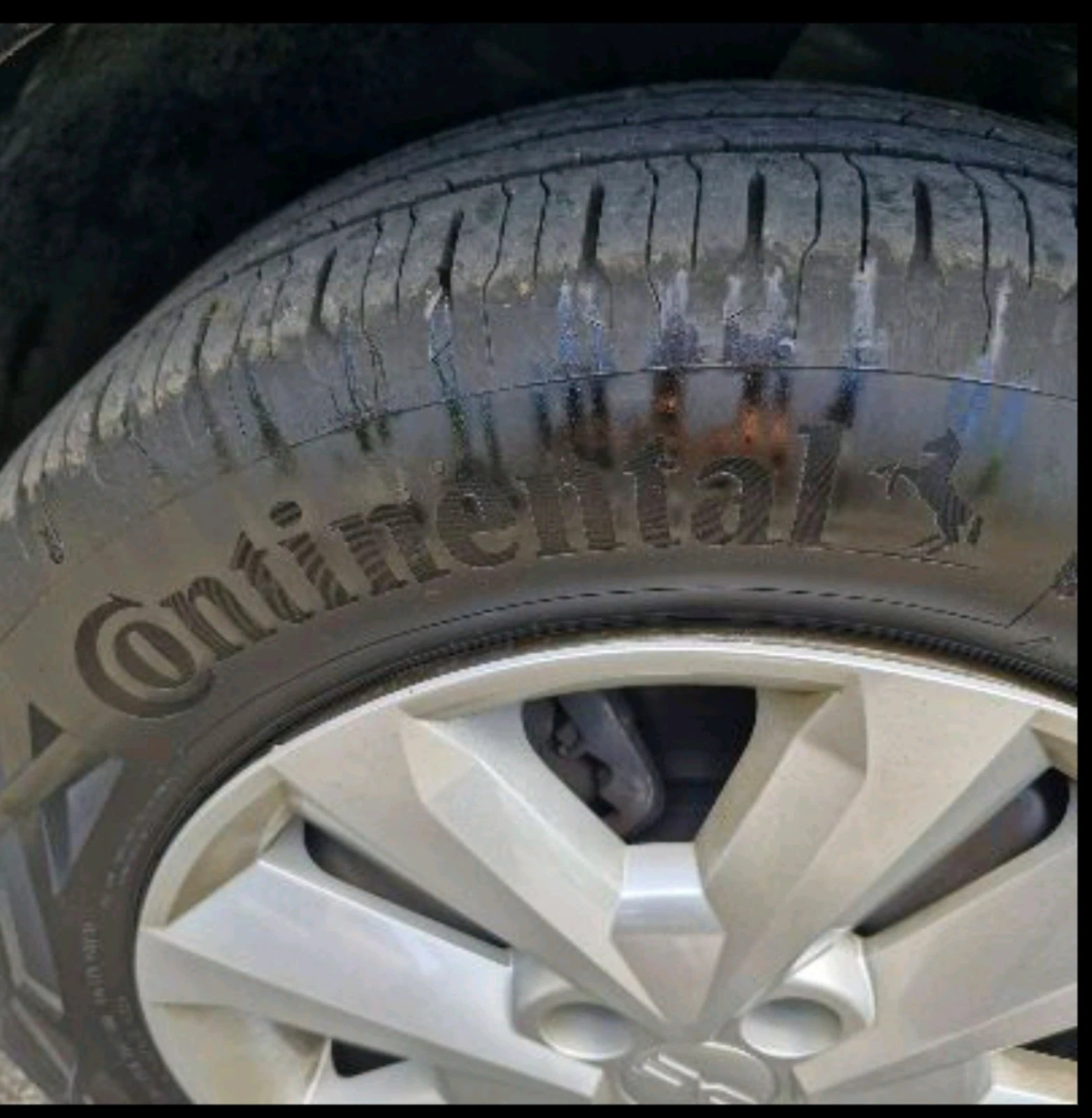 Dacia Logan  - изображение 3