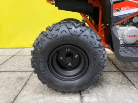 Kayo Moto Kayo Moto AU110 | Mobile.bg � ����� ������ 14