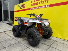 Kayo Moto Kayo Moto AU110 | Mobile.bg � ����� ������ 2