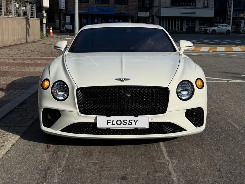 Bentley Continental 4.0 CVD Automatic, снимка 3 - Автомобили и джипове - 55967617