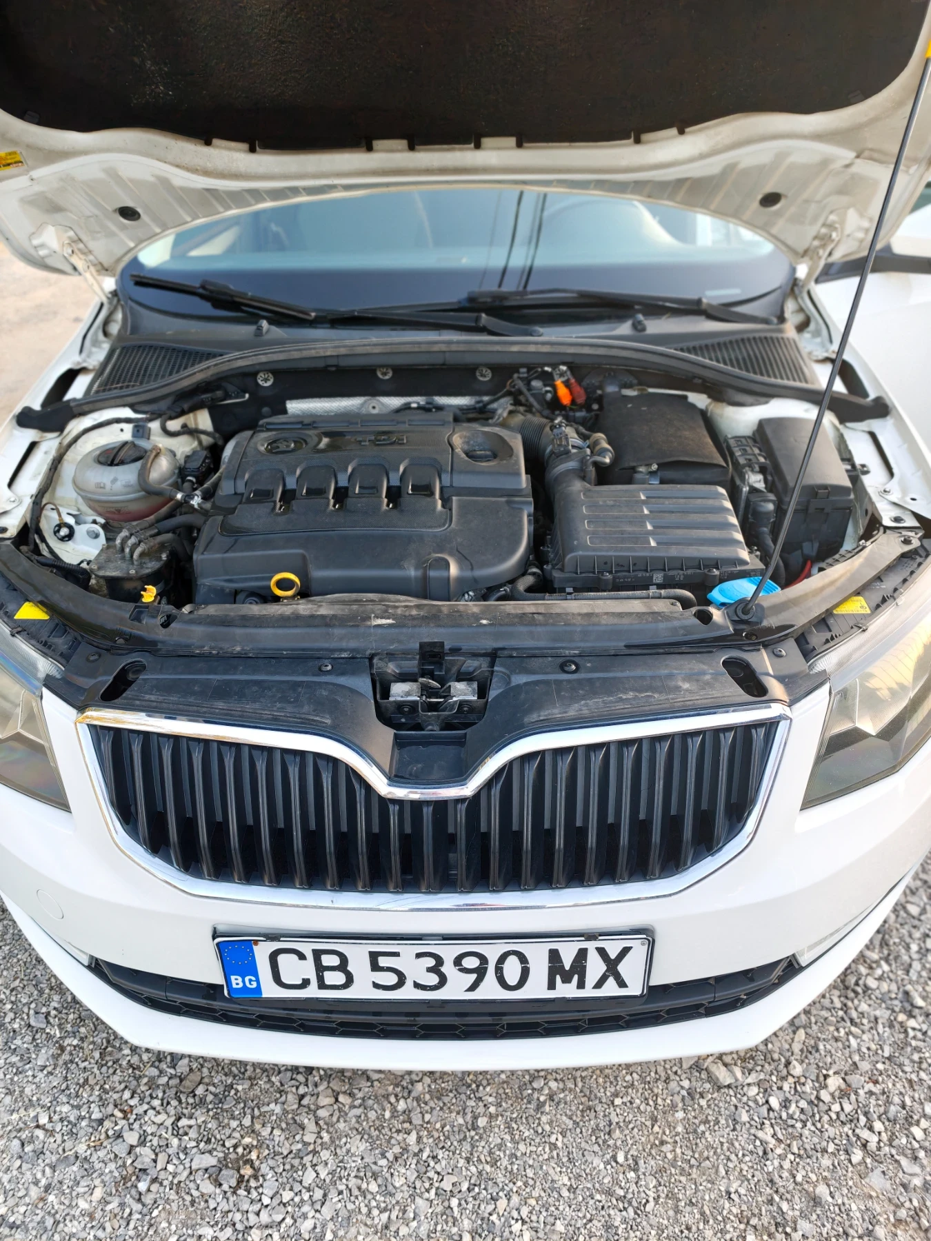 Skoda Octavia, снимка 6 - Автомобили и джипове - 55081661