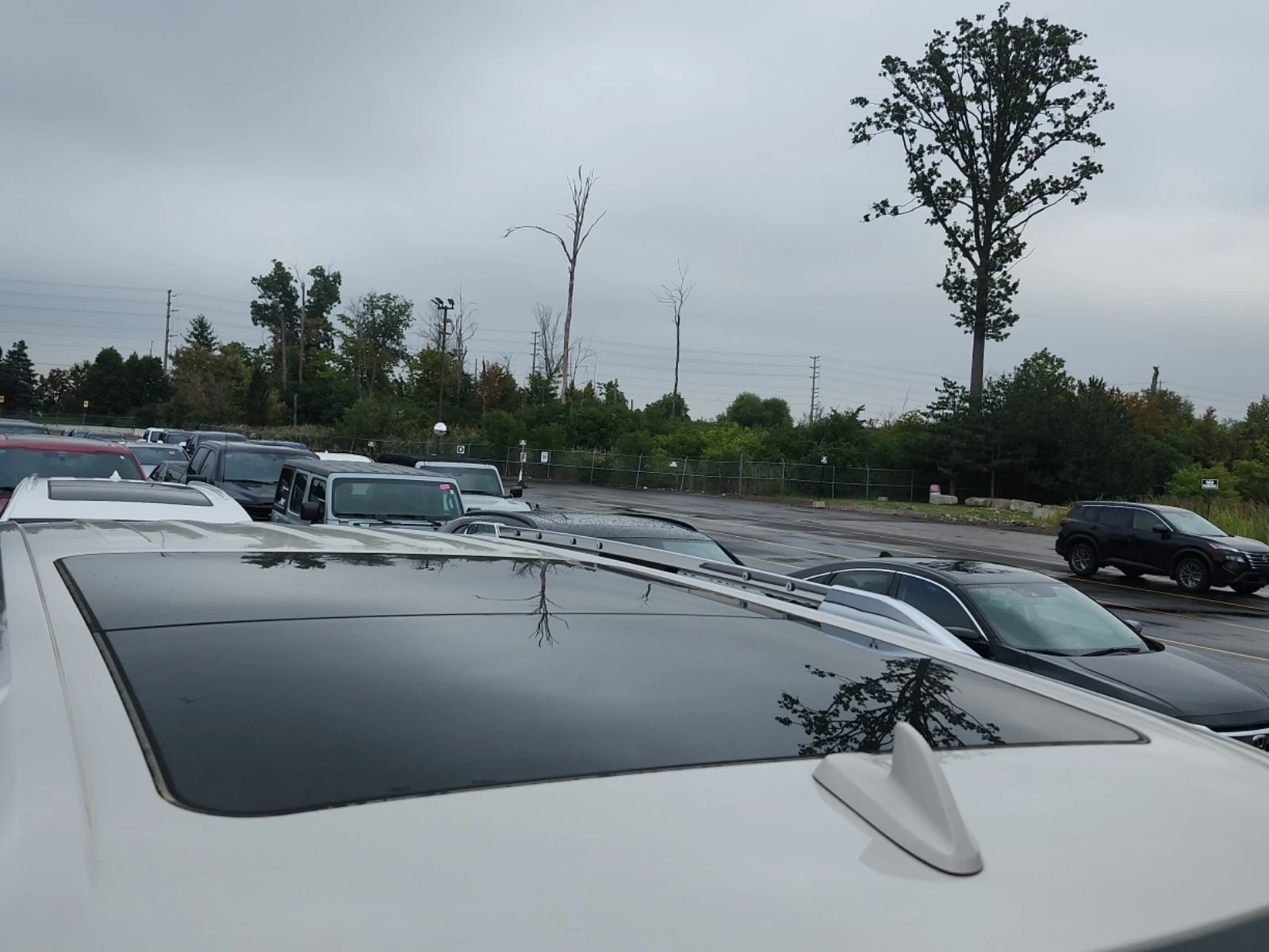 Lincoln Navigator * RESERVE * CARFAX *  | Mobile.bg � ����������� 13