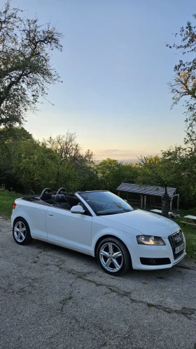     Audi A3 1.9 TDI 105hp