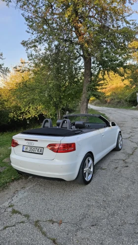 Audi A3 1.9 TDI 105hp | Mobile.bg    6