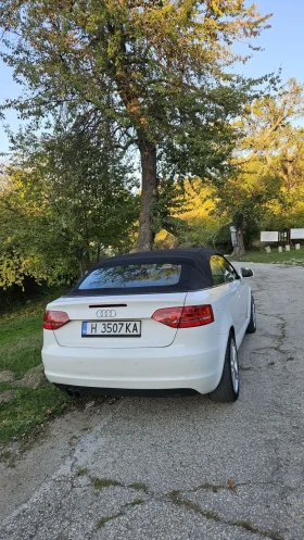 Audi A3 1.9 TDI 105hp | Mobile.bg    11