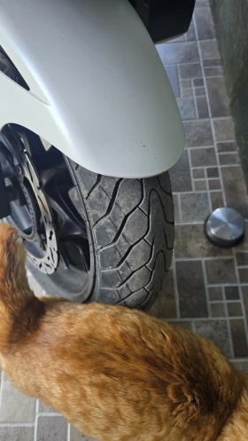 Honda Integra ABS DCT, снимка 4