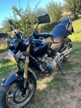  Honda Hornet