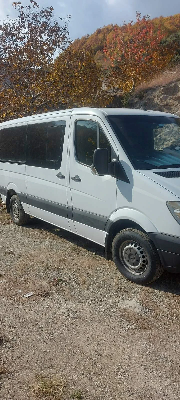 Mercedes-Benz Sprinter 311, снимка 9 - Бусове и автобуси - 48911560