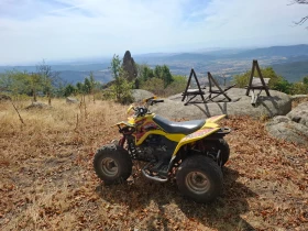 Suzuki QuadSport 90, снимка 5