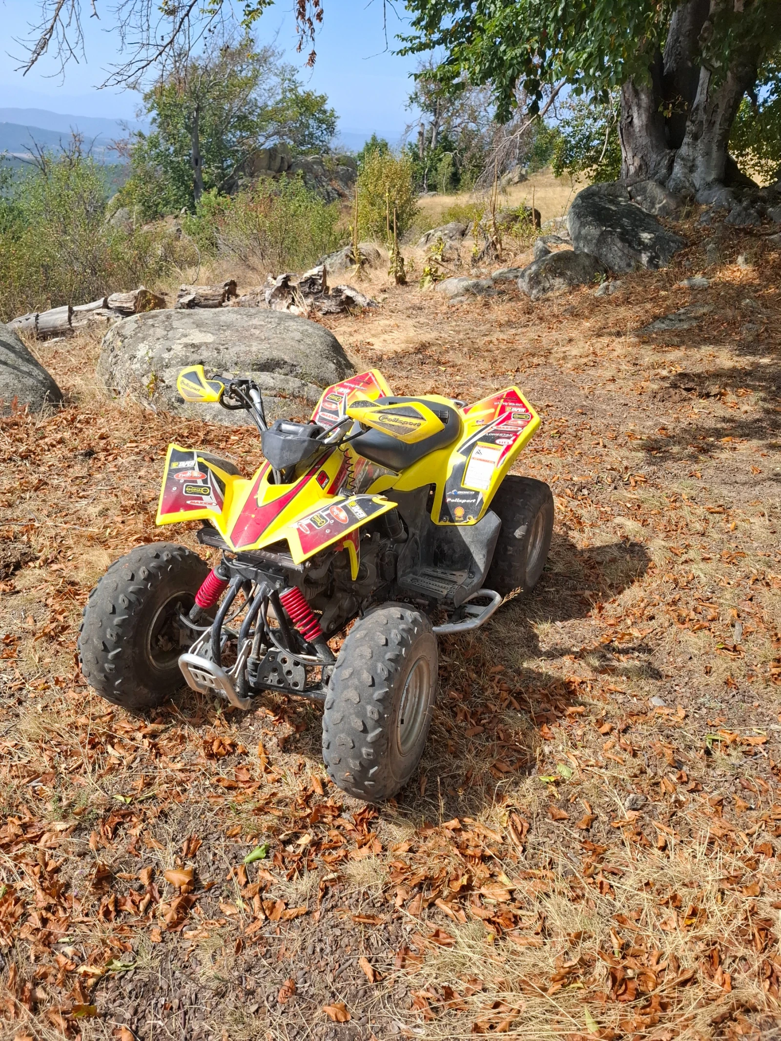 Suzuki QuadSport 90, снимка 1
