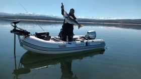 ��������� ����� Highfield | Mobile.bg � ����� ������ 8