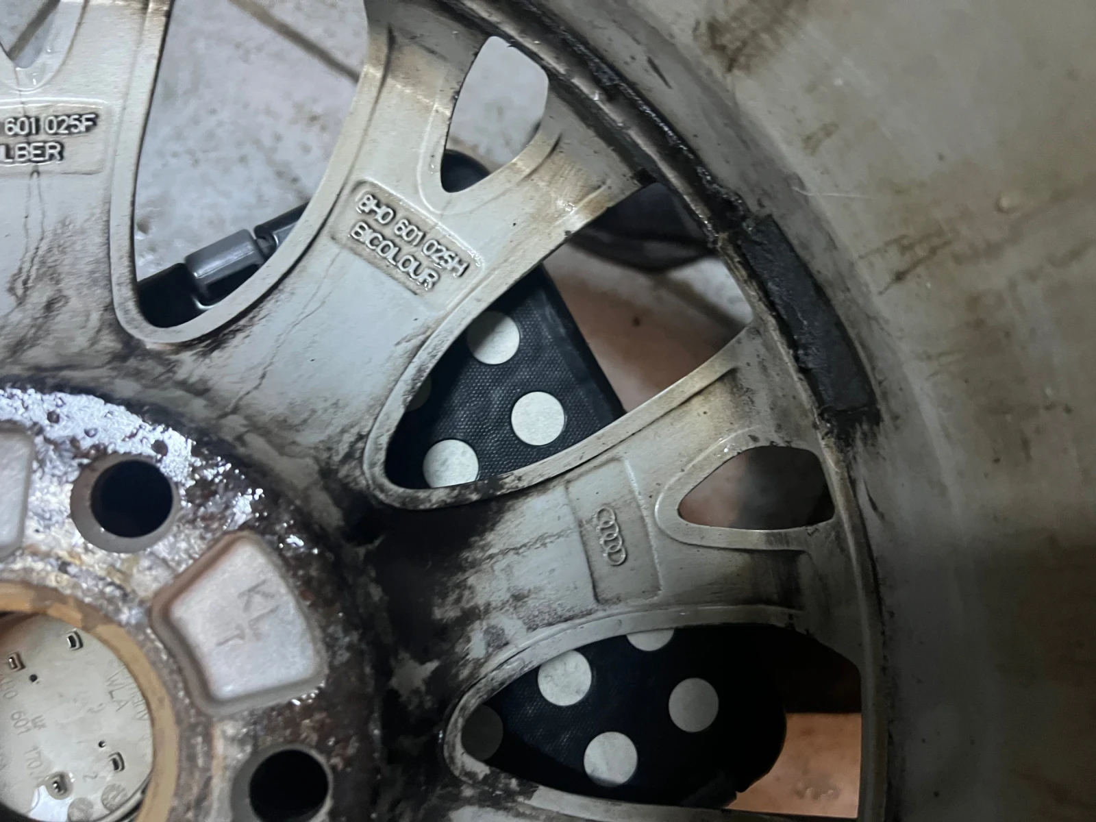 ������ | Mobile.bg � ����������� 7