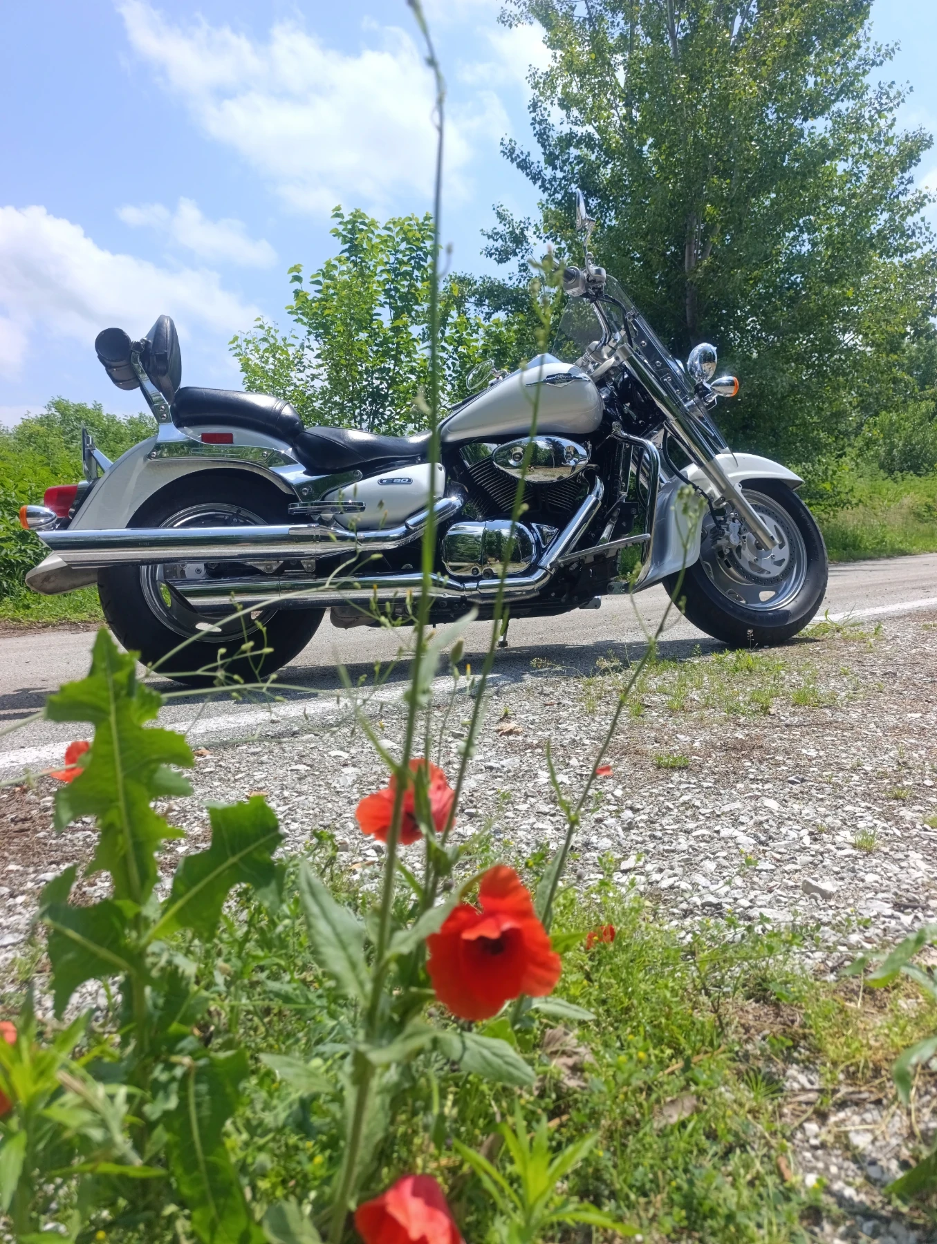 Suzuki Boulevard C90T, снимка 8 - Мотоциклети и мототехника - 54791551